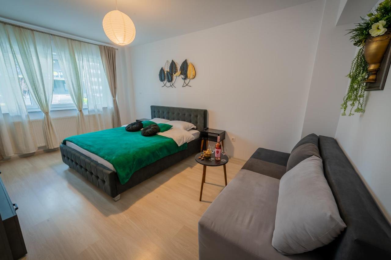 Coresi Vibe Studio Brassó Kültér fotó